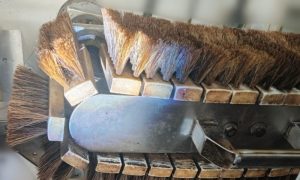 pxkdFl3c00THLZni5AYl0lfNt3rVwlOIIHBcU3g4